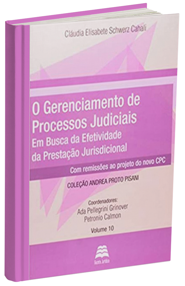 O Gerenciamento De Processos Judiciais Em Busca Da Efetividade Da Prestacao Jurisdiciona 6